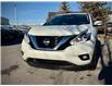 2017 Nissan Murano Platinum (Stk: 260322B) in Calgary - Image 4 of 19