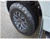 2024 Ford F-150 Tremor (Stk: SA-1471B) in Calgary - Image 5 of 12