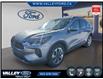 2024 Ford Escape Platinum (Stk: 26P007) in Kentville - Image 1 of 13