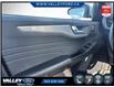 2024 Ford Escape Platinum (Stk: 26P007) in Kentville - Image 9 of 13 2024 Ford Escape Platinum (Stk: 26P007) in Kentville - Image 9 of 13