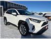 2019 Toyota RAV4 XLE (Stk: M6074) in Sarnia - Image 3 of 33