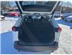 2019 Toyota RAV4 XLE (Stk: M6074) in Sarnia - Image 15 of 33