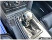2009 Ford Mustang V6 (Stk: D5X084XZ) in Oakville - Image 17 of 23