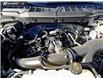2025 Ford F-150 XL (Stk: TS562) in Kamloops - Image 10 of 24