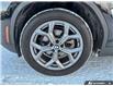 2022 BMW X4 xDrive30i (Stk: 20U4113) in Innisfil - Image 6 of 23