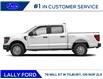 2025 Ford F-150 XL (Stk: LFFF01335) in Tilbury - Image 3 of 11