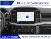 2025 Ford F-150 XL (Stk: LFFF01335) in Tilbury - Image 7 of 11