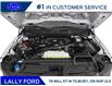 2025 Ford F-150 XL (Stk: LFFF01335) in Tilbury - Image 9 of 11