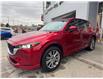 2022 Mazda CX-5 Signature (Stk: 28282P) in Newmarket - Image 6 of 13