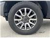 2021 Ford Ranger  (Stk: 1FTER4) in Newmarket - Image 6 of 7