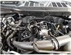 2025 Ford F-150 STX (Stk: TS645) in Kamloops - Image 10 of 24