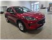 2022 Ford Escape SE (Stk: 22FE76208) in Winnipeg - Image 3 of 24