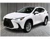 2024 Lexus NX 350 Base (Stk: RU8826A) in Richmond - Image 1 of 30