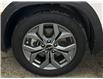 2025 Kia Seltos EX (Stk: 43433J) in Belleville - Image 26 of 26