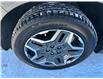 2023 Hyundai Santa Fe HEV Luxury (Stk: M6062) in Sarnia - Image 9 of 36