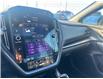 2023 Subaru WRX Sport (Stk: P2146) in Newmarket - Image 11 of 17
