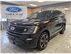 2019 Ford Expedition Limited (Stk: UA55448) in Shellbrook - Image 1 of 24