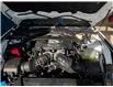 2026 Ford Mustang GT Premium (Stk: MU600) in Miramichi - Image 11 of 11