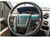 2010 Ford F-150 XLT (Stk: R68515) in Calgary - Image 13 of 18
