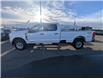 2024 Ford F-350 XLT (Stk: 19427) in Calgary - Image 2 of 24