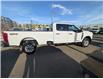 2024 Ford F-350 XLT (Stk: 19427) in Calgary - Image 6 of 24