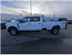 2024 Ford F-350 XLT (Stk: 19426) in Calgary - Image 2 of 24