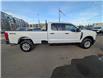 2024 Ford F-350 XLT (Stk: 19426) in Calgary - Image 6 of 24