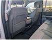 2024 Ford F-350 XLT (Stk: 19426) in Calgary - Image 13 of 24