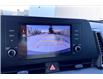 2024 Kia Sportage LX (Stk: 24A4709) in Sherwood Park - Image 19 of 29