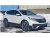 2021 Honda CR-V LX (Stk: N107719A) in Saint John - Image 9 of 13