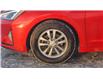 2019 Hyundai Elantra Eco (Stk: N205225B) in Saint John - Image 11 of 13