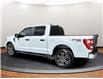 2022 Ford F-150 XL (Stk: D79646) in Lower Sackville - Image 7 of 23 2022 Ford F-150 XL (Stk: D79646) in Lower Sackville - Image 7 of 23