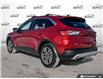 2020 Ford Escape SEL (Stk: A250929X) in Hamilton - Image 4 of 21