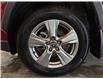 2025 Toyota RAV4 XLE (Stk: 260116A) in Mississauga - Image 15 of 16