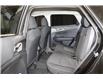 2024 Kia Sportage LX (Stk: 25241) in Edmonton - Image 12 of 21