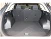 2024 Kia Sportage LX (Stk: 25241) in Edmonton - Image 14 of 21