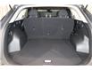 2024 Kia Sportage LX (Stk: 25253) in Edmonton - Image 19 of 21