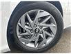 2024 Hyundai Elantra Preferred (Stk: 16104712A) in Markham - Image 13 of 13