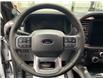 2025 Ford F-150 Lariat (Stk: 26023) in Melfort - Image 17 of 22