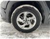 2023 Hyundai Tucson  (Stk: 251661) in Kingston - Image 21 of 22