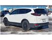 2020 Honda CR-V LX (Stk: TL2275A) in Saint John - Image 4 of 13