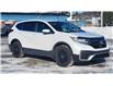 2020 Honda CR-V LX (Stk: TL2275A) in Saint John - Image 9 of 13