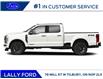 2026 Ford F-250 Platinum (Stk: LFFF01635) in Tilbury - Image 3 of 13