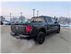 2026 Ford F-150 XLT (Stk: F1411) in Miramichi - Image 5 of 13