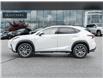 2021 Lexus NX 300  (Stk: 15105384A) in Richmond Hill - Image 4 of 28