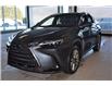 2026 Lexus NX 350h Base (Stk: 6982) in Kingston - Image 1 of 9