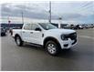 2025 Ford Ranger XL (Stk: 5T150) in Williams Lake - Image 7 of 13
