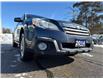 2014 Subaru Outback 3.6R Limited Package (Stk: TLP1291) in RICHMOND HILL - Image 11 of 29