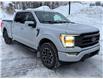 2021 Ford F-150 Lariat (Stk: 14723) in Sudbury - Image 4 of 8