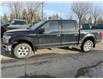 2018 Ford F-150 XLT (Stk: 7002B) in Calgary - Image 2 of 5